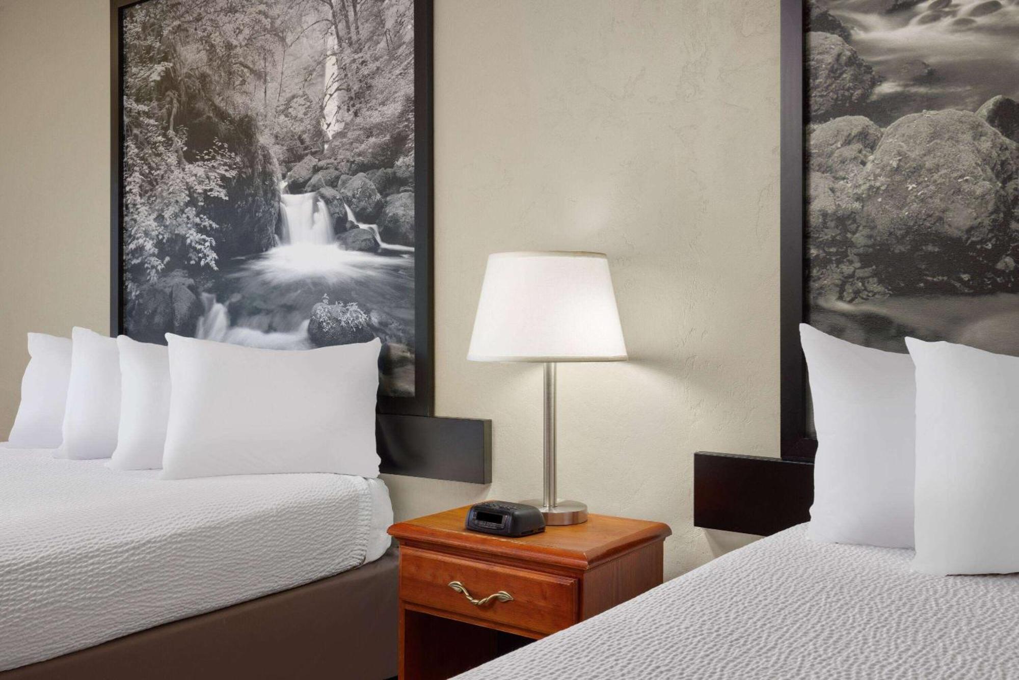 Hotel Super 8 By Wyndham Roseburg Extérieur photo